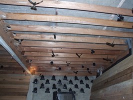 Inside the swallow hut